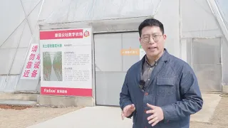 GLOBALINK | China-Israel "smart greenhouse" improves vegetable production