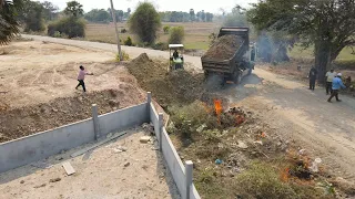 Best Project Build Foundation Road Enter the Pagoda By 5Ton Truck Dumping Soil and Bulldozer Working