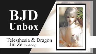 BJD UNBOXING!! Telesthesia & Dragon - 九泽/Jiu Ze (1/3 Pink Skin)