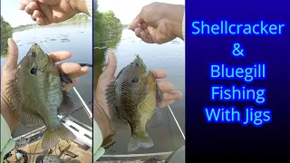 Shellcracker & Bluegill Fishing With Bobber & Jig