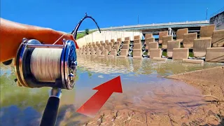 What's Swimming Under This Flooded Spillway?