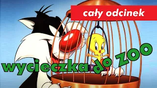 Wycieczka do ZOO - cały odcinek - Zwariowane Melodie! Kreskówki dla Ciebie!