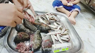 وينهن عشاق الاسماك 😍 زوري ليش القنوات الكبيره بطلت تنشر 🤔