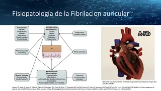 Fibrilación auricular en urgencias (guias AHA/ACC/HRS 2019)