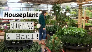 Houseplant Shopping At The Best Plant Nursery! | Cactus & Tropicals Indoor Plant Haul!