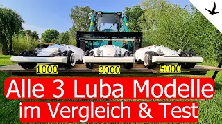 Luba AWD 5000 + LUBA AWD 3000 + LUBA AWD 1000 Mähroboter von Mammotion🚩Alle Luba Modelle im Test