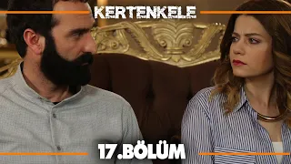 Kertenkele 17. Bölüm