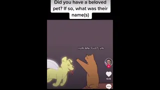 Cat sees the ghost of his deceased dog friend