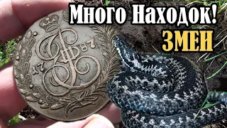 Коп монет на древней дороге! Поиск металлоискателем! Не ожидали найти такие находки! Коп по старине!