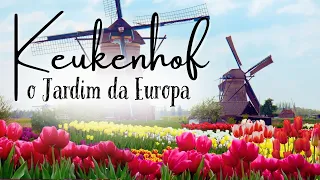 📷 Keukenhof: O Jardim da Europa🌷 🇳🇱