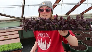 ⚡️Power Outage SCARE ⚡️ : Planting the First Baskets of the Season 🪴 :  Flower Hill Farm