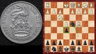 Chess Opening Traps #9 : Blackburne Shilling Gambit - Opening Trap (Chessworld.net)