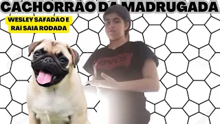 Cachorrão Da Madrugada - Wesley Safadão e Raí Saia Rodada - Dança / Biancca Proença (Coreografia)