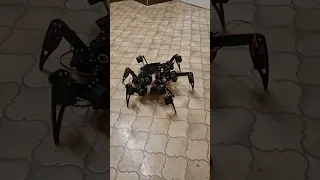 Freenove Big Hexapod Robot Moving