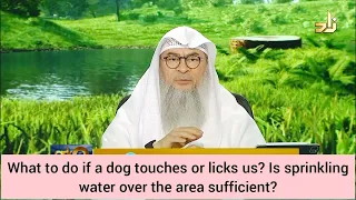 What to do if dog licks you or your clothes? Is sprinkling water over it suffficient Assim al hakeem