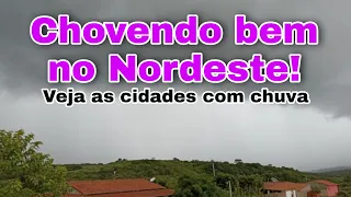 Chovendo bem no Nordeste! veja as cidades com chuva