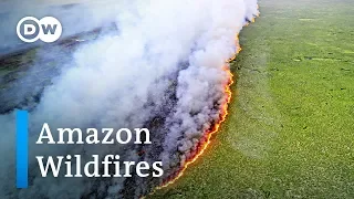 Bolsonaro blames Amazon rainforest wildfires on green groups | DW News