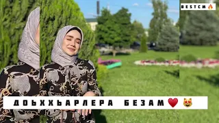 Бомбовая Песня Зезаг Исмаилова Доьххьарлера Безам😻🔥