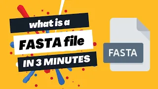 What is a FASTA file?