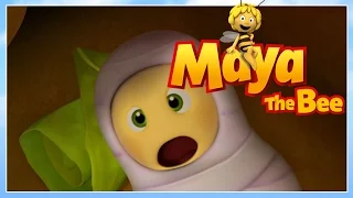 Maya the bee - Episode 53 - Alarm