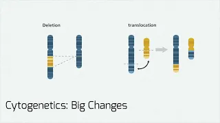 Gone Fishing: Cytogenetics and FISH testing