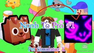 #1 | Noob To Pro | Pet Simulator X (Read Description)