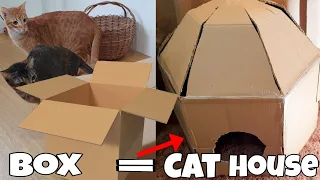 Transform a Cardboard Box into a Cat House!