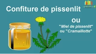 Recette de confiture de pissenlit "cramaillotte"