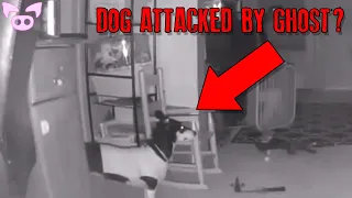 Unnatural Paranormal Encounters Caught on Camera