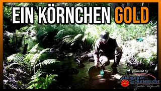 🔶 Ein Körnchen Gold 🔶 Goldwaschen Goldsuche in Deutschland Gold prospecting