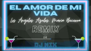 Los Ángeles Azules, María Becerra - El Amor de Mi Vida (DJ NIX Remix)