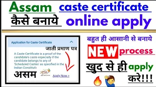 caste certificate online apply assam | caste certificate assam