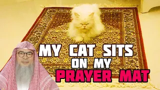 If my cat sits on my prayer mat, is it ok or must I move it aside? - Assim al hakeem