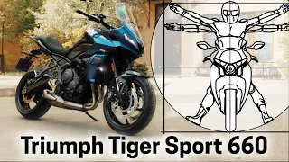 Triumph Tiger Sport 660: тест-драйв и обзор от Дениса Панферова