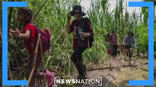 Panama's new president to close Darien Gap | NewsNation Live