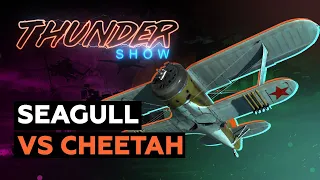 Thunder Show: Seagull vs Cheetah
