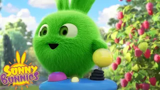 SUNNY BUNNIES - PLAYING VIDEO GAME | Season 7 COMPILATION | Cartoons for Kids