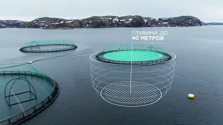 Производство INARCTICA