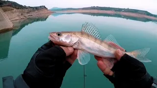 LEVREKLERİN ARASINDA KALDIK| Dişli levrek avi (sudak)| Micro jig teknikleri ve aksiyonlari