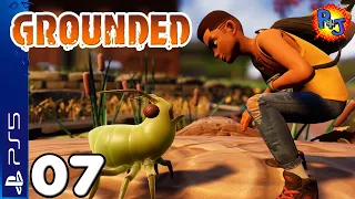 Let's Play Grounded PS5 Co-op Multiplayer | Gameplay Episode 7: Completing the Hedge Lab (P+J)