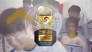 2018 코리아컵 킨볼대회 KIN-BALL KOREA CUP