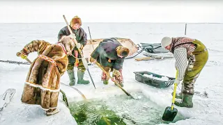 Рыбный промысел Карского моря. 2 часть | С полем!