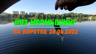 #113 Мормышинг на коротке 26 июня 2022