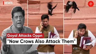 Piyush Goyal's Poem Sparks Chaos in Rajya Sabha Amid Opposition Black Clothes Protest