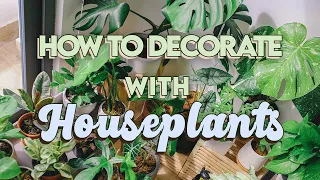 How to Style Your Space with Houseplants | Decorate with Indoor Plants