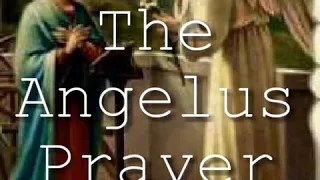 The Angelus Prayer 6 o'clock & 12 o'clock prayer