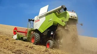 Claas Tucano 430 Montana 4 | Massey Ferguson 6497 | Gamarino