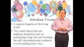 Introduction to Viruses by David Baltimore