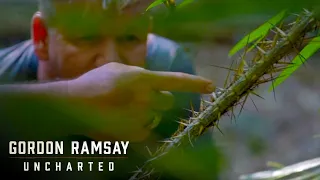 "This Is Foraging To A Completely New Level" | Gordon Ramsay: Uncharted