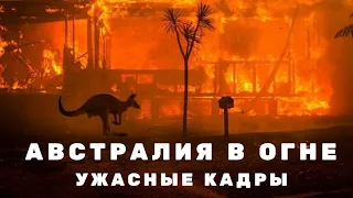 Австралия горит. Пожары в Австралии уничтожают целые города. Последние новости